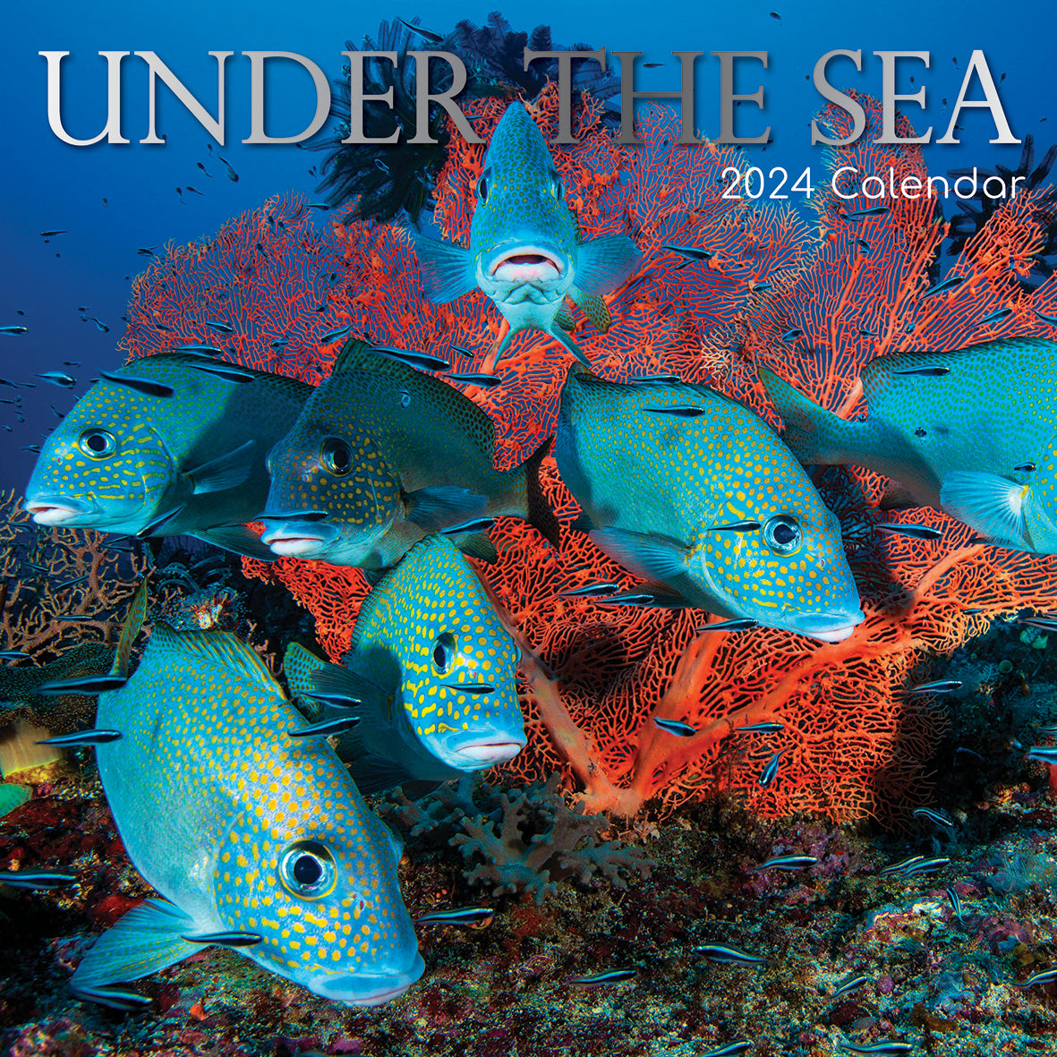 Under the Sea 2024 Square Wall Calendar 16 Month Planner Christmas New Year Gift