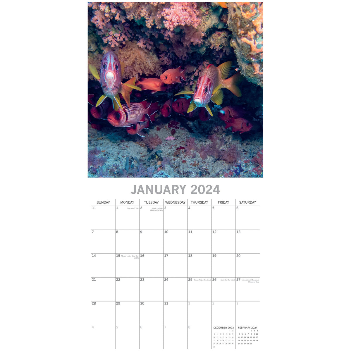 Under the Sea 2024 Square Wall Calendar 16 Month Planner Christmas New Year Gift