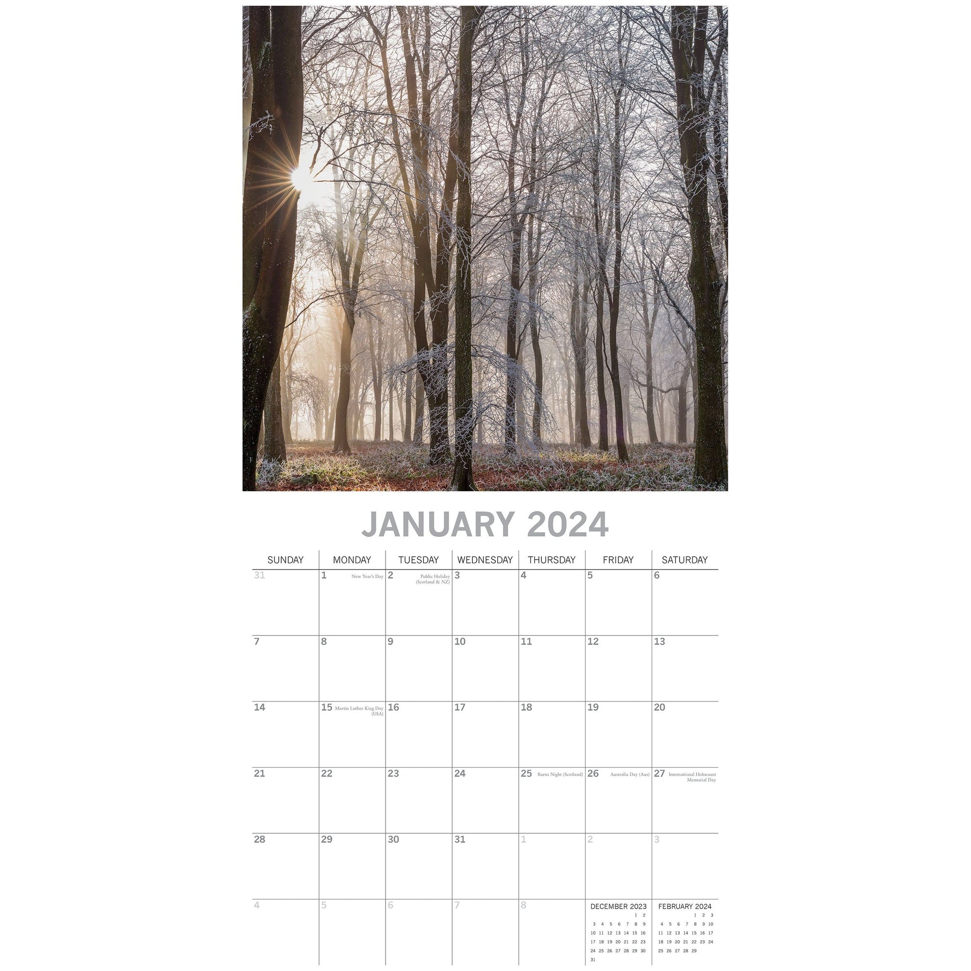 Woodland Scenes - 2024 Square Wall Calendar 16 Months Planner Xmas New Year Gift