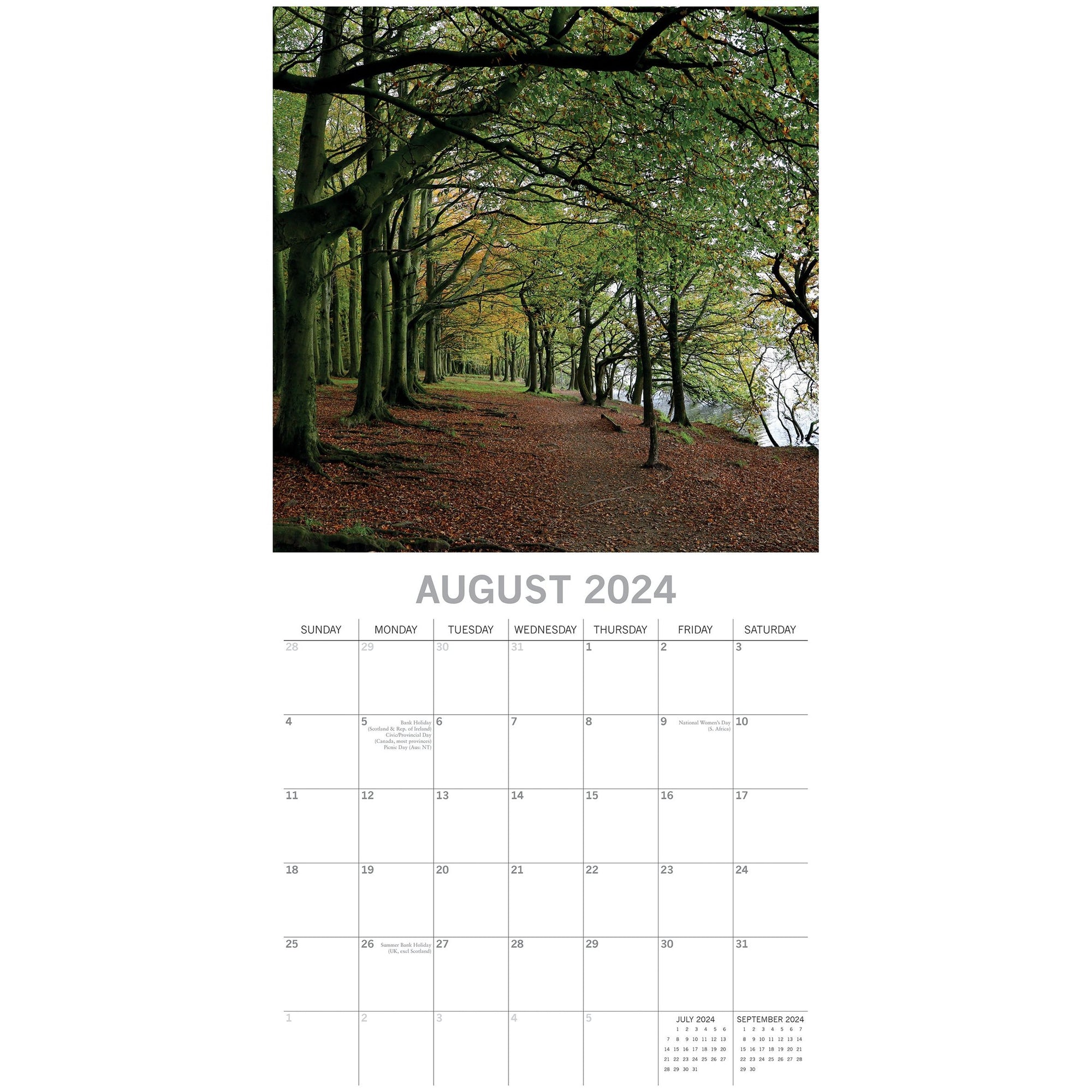 Woodland Scenes - 2024 Square Wall Calendar 16 Months Planner Xmas New Year Gift