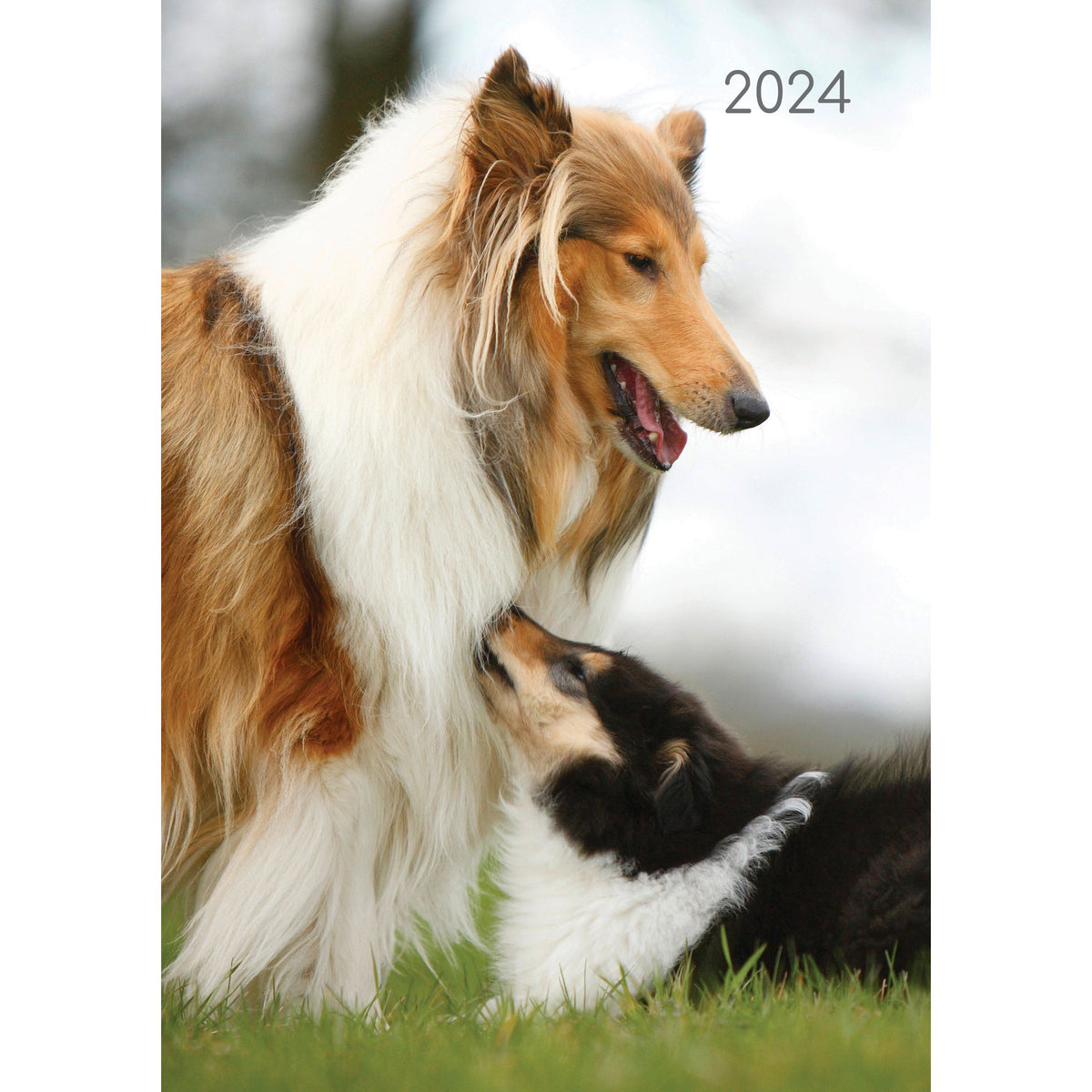 Dogs &amp; Puppies - 2024 A5 Padded Cover Diary Premium Planner Book New Year Gift