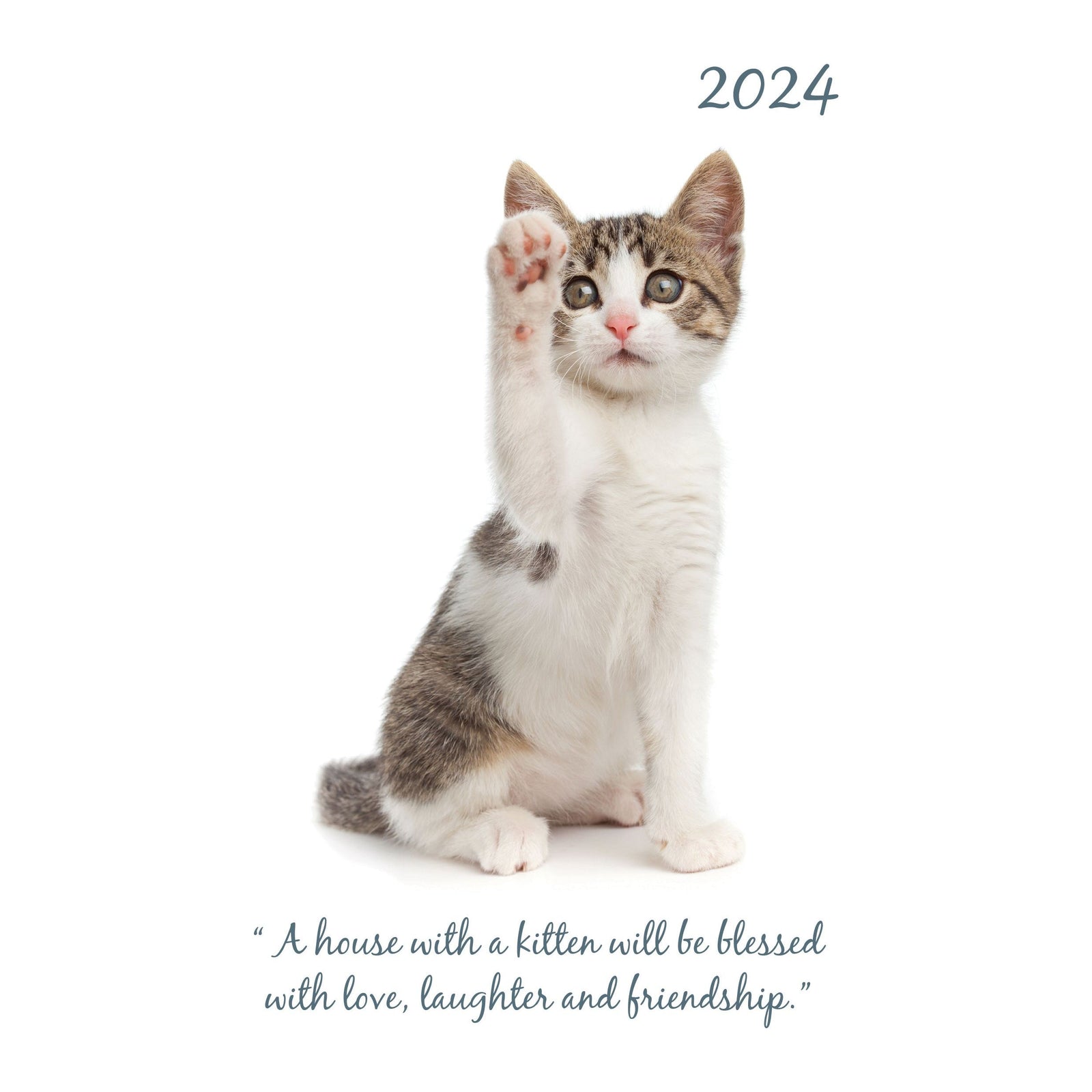 Cute Kittens 2024 A5 Padded Cover Diary Premium Planner Book Xmas New Year Gift