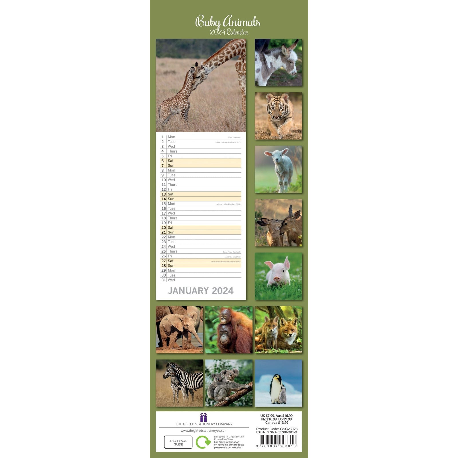 Baby Animals - 2024 Slimline Slim Wall Calendar Hanging Planner New Year Gift