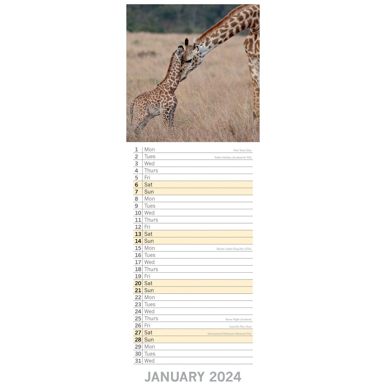 Baby Animals - 2024 Slimline Slim Wall Calendar Hanging Planner New Year Gift