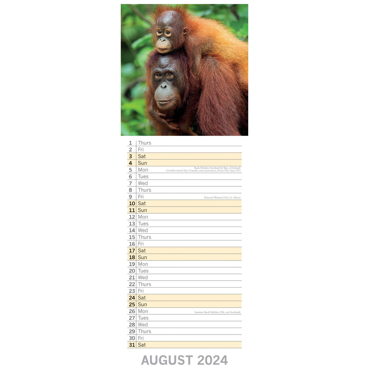 Baby Animals - 2024 Slimline Slim Wall Calendar Hanging Planner New Year Gift