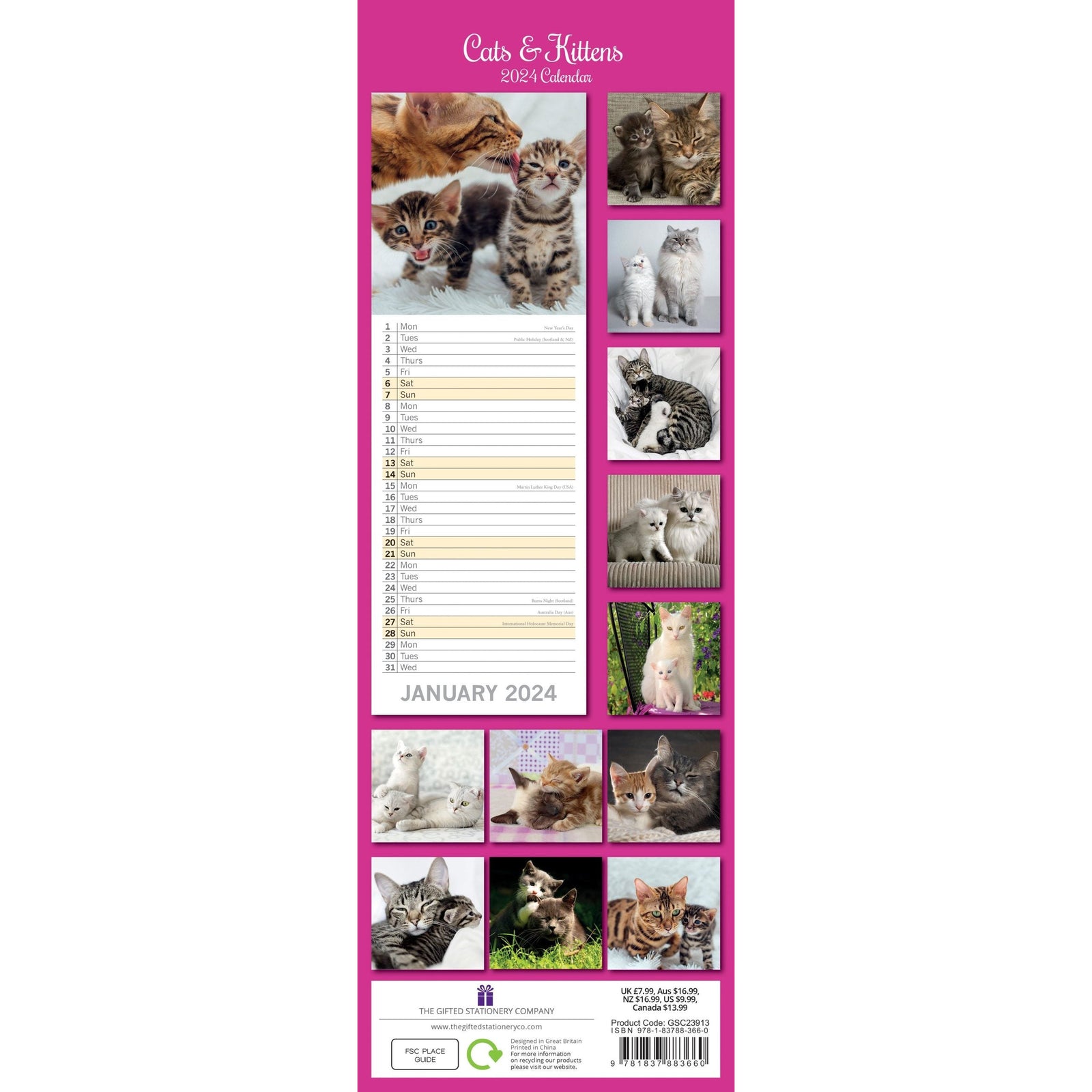 Cats & Kittens - 2024 Slimline Slim Wall Calendar Hanging Planner New Year Gift
