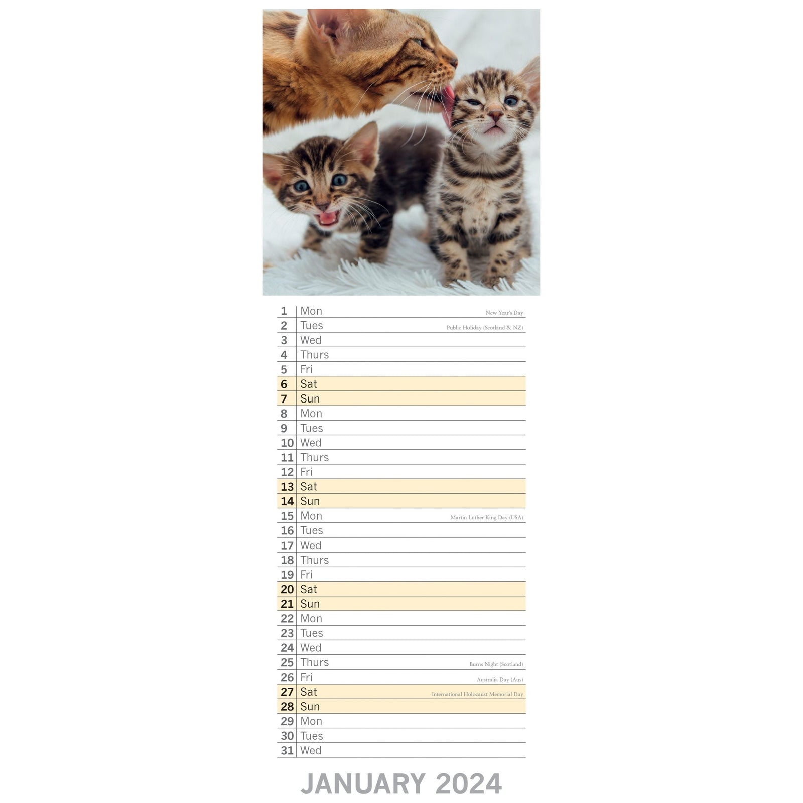 Cats & Kittens - 2024 Slimline Slim Wall Calendar Hanging Planner New Year Gift
