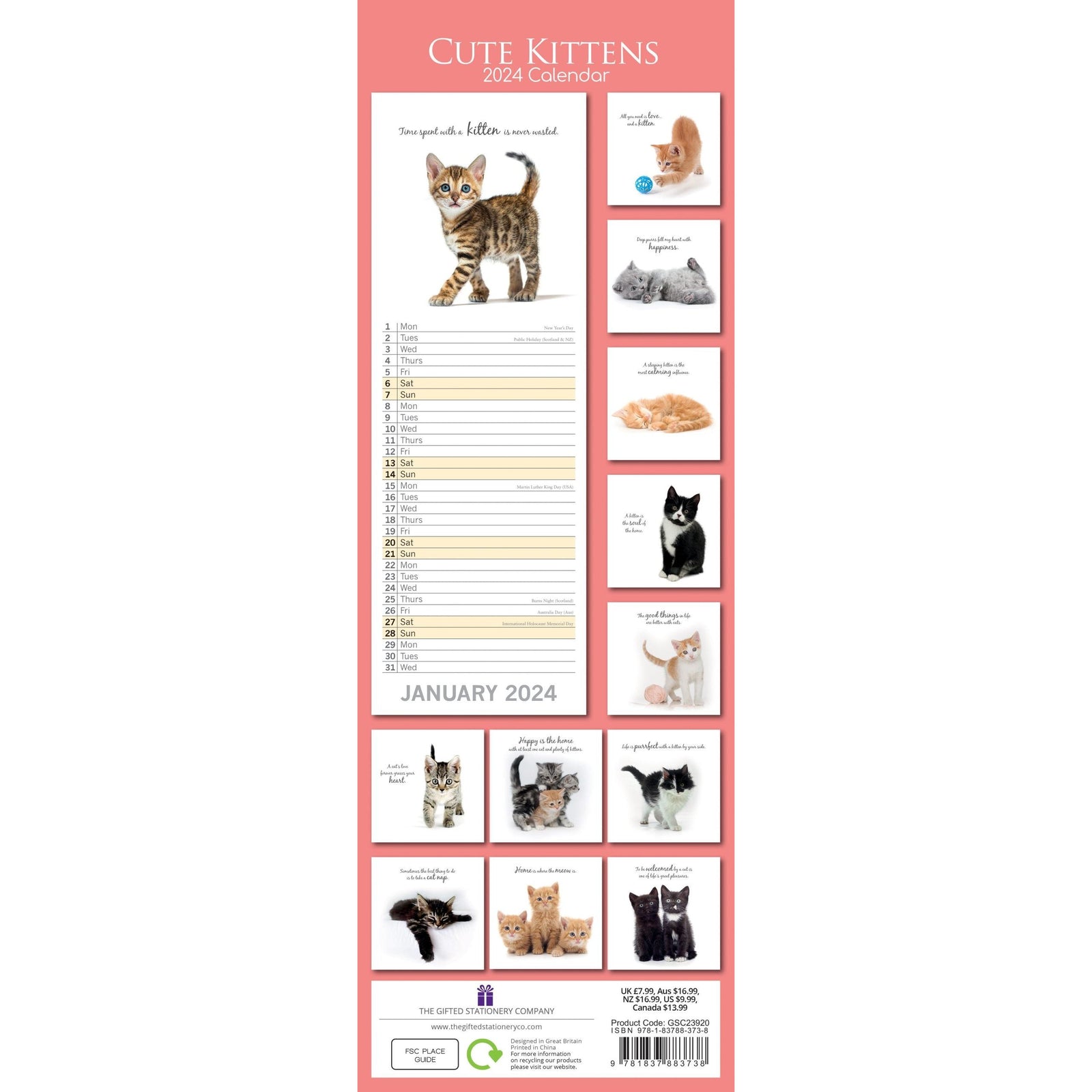 Cute Kittens - 2024 Slimline Slim Wall Calendar Hanging Planner New Year Gift