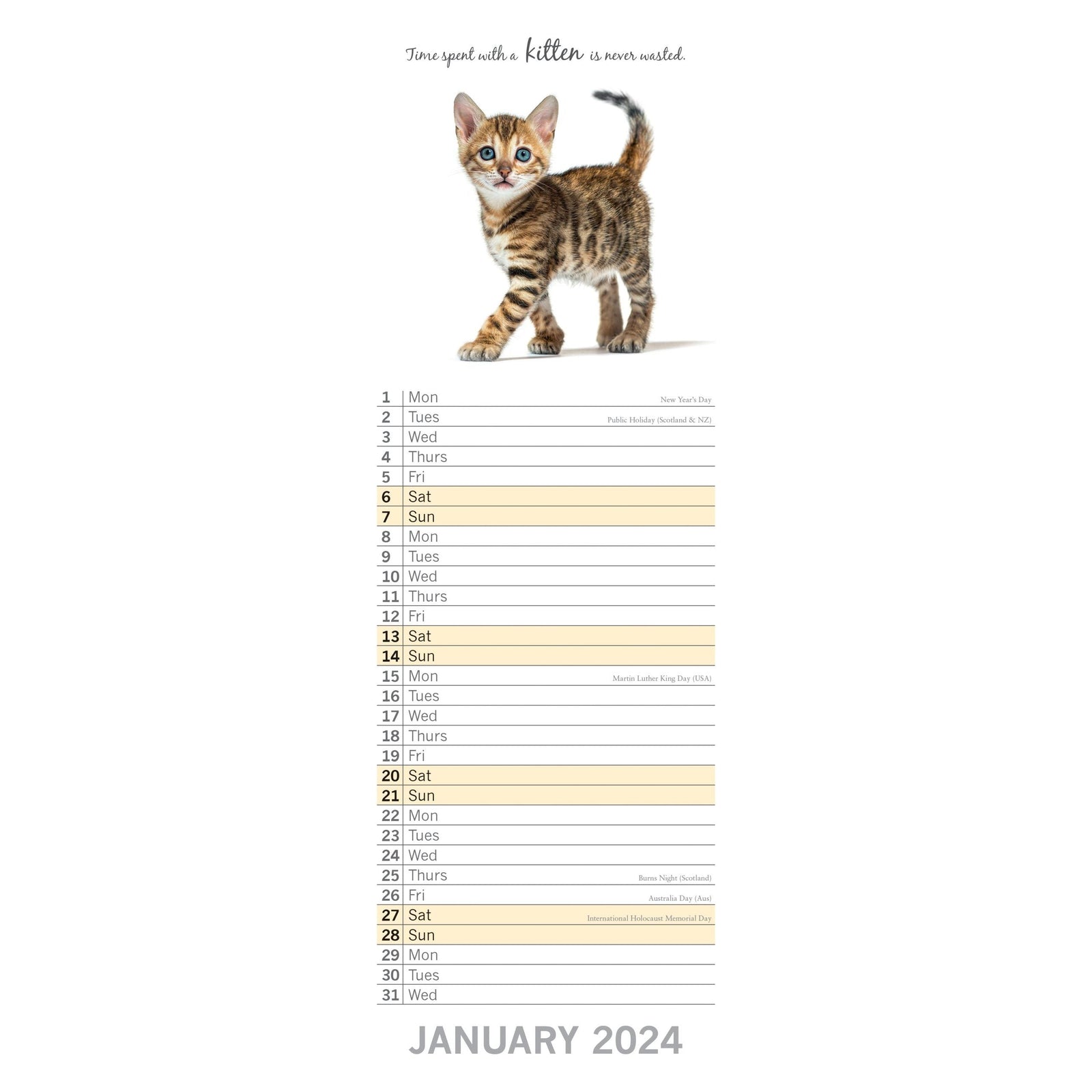 Cute Kittens - 2024 Slimline Slim Wall Calendar Hanging Planner New Year Gift