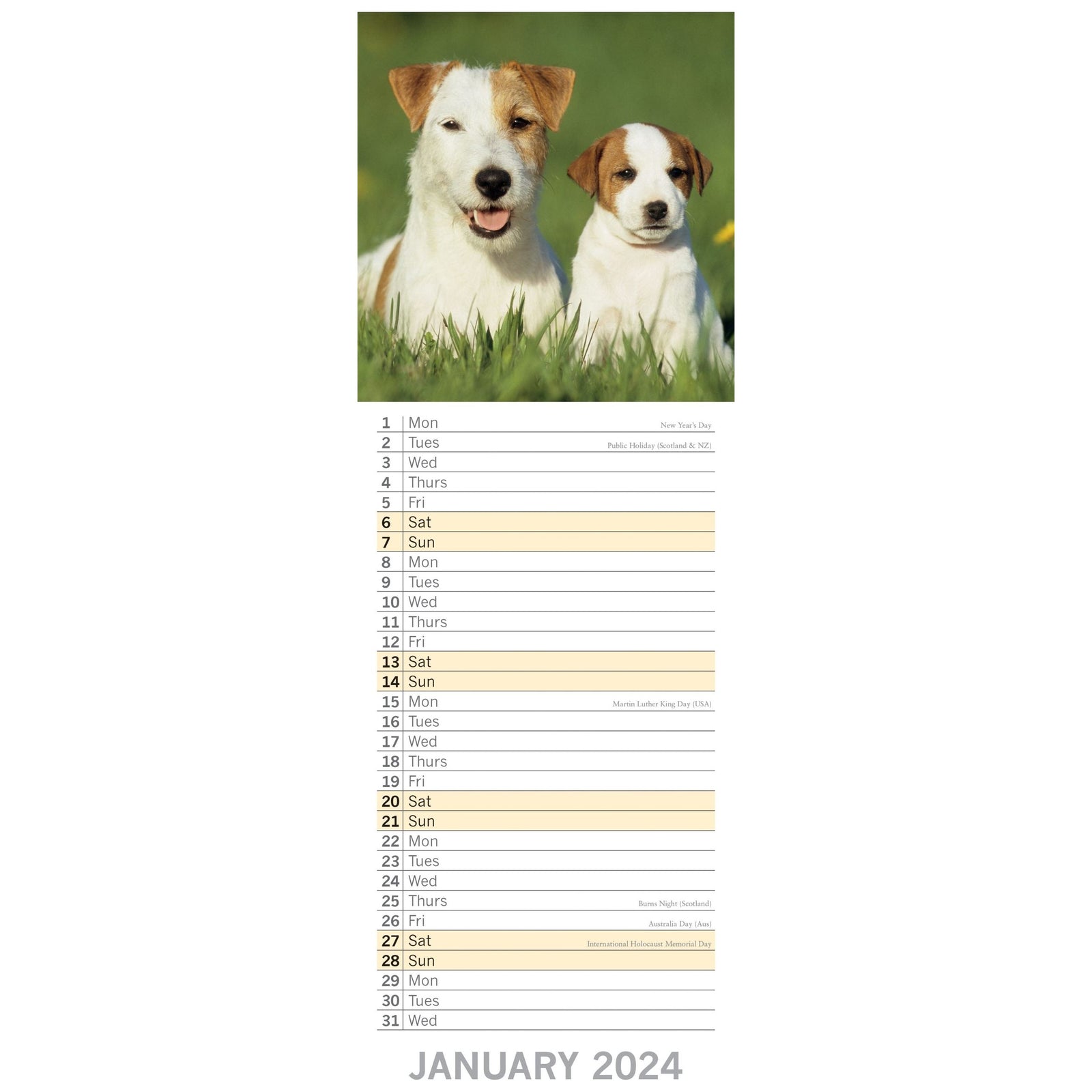 Dogs & Puppies - 2024 Slimline Slim Wall Calendar Hanging Planner New Year Gift