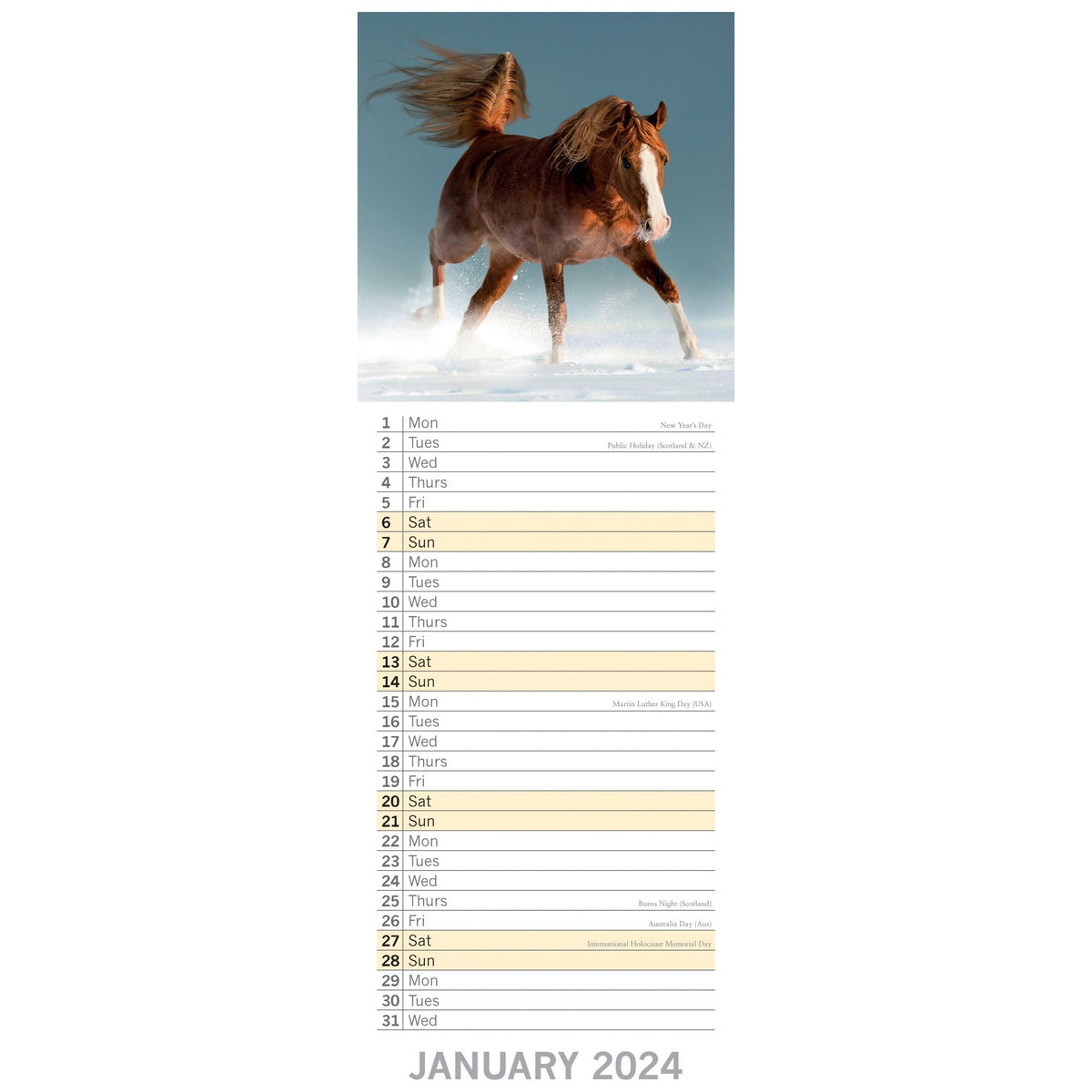 Horses - 2024 Slimline Slim Wall Calendar Hanging Planner New Year Gift