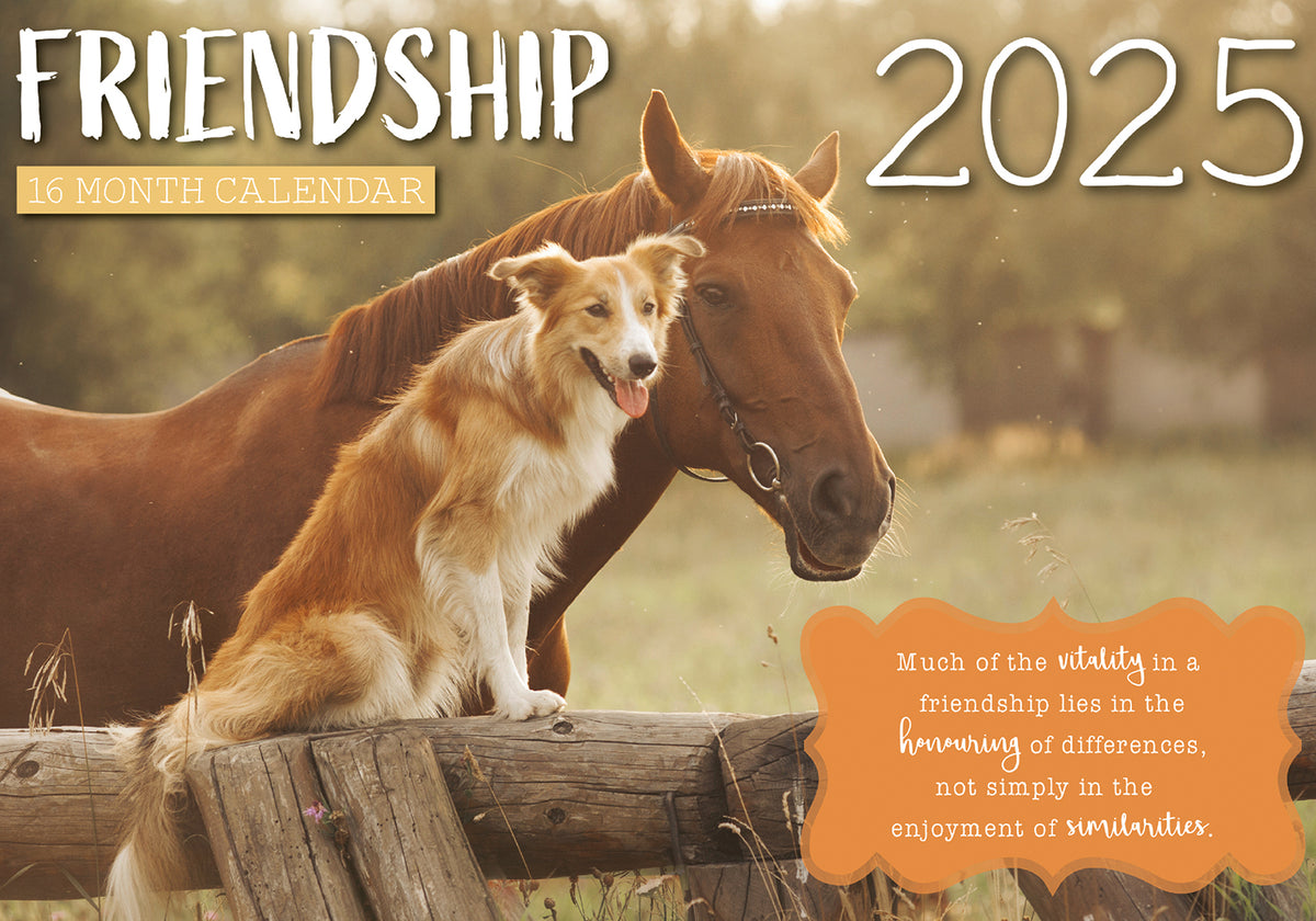 Friendship 2025 Rectangle Wall Calendar 16 Months Hanging Planner New Year Gift