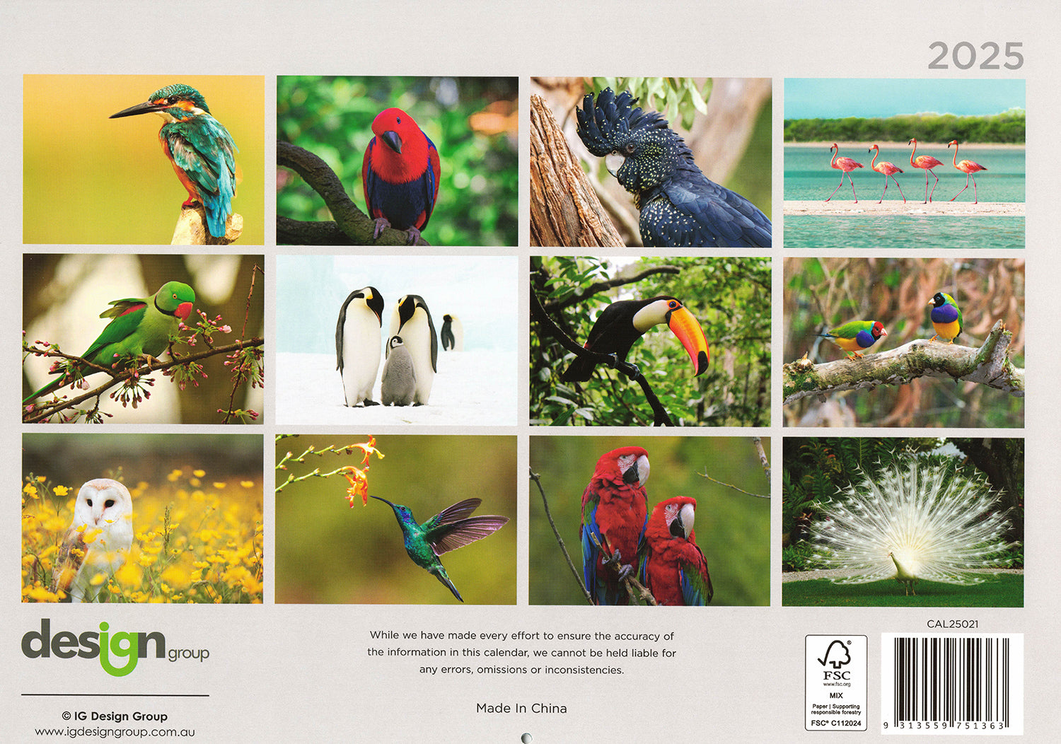 Birds - 2025 Rectangle Wall Calendar 16 Months Hanging Animal Planner New Year