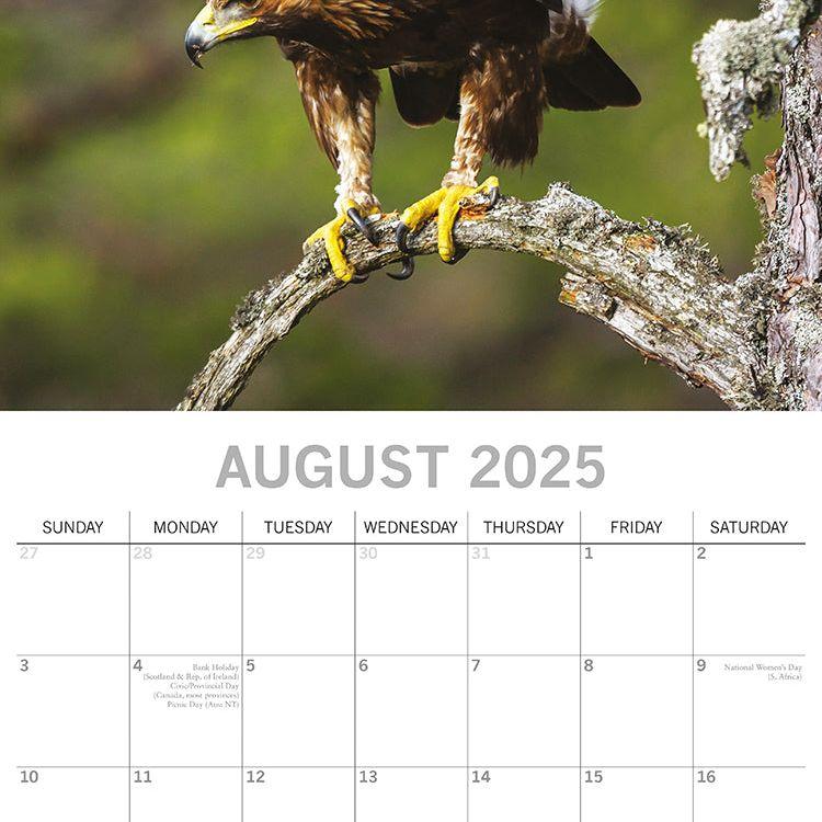Country Wildlife - 2025 Square Wall Calendar Animals 16 Months Premium Planner