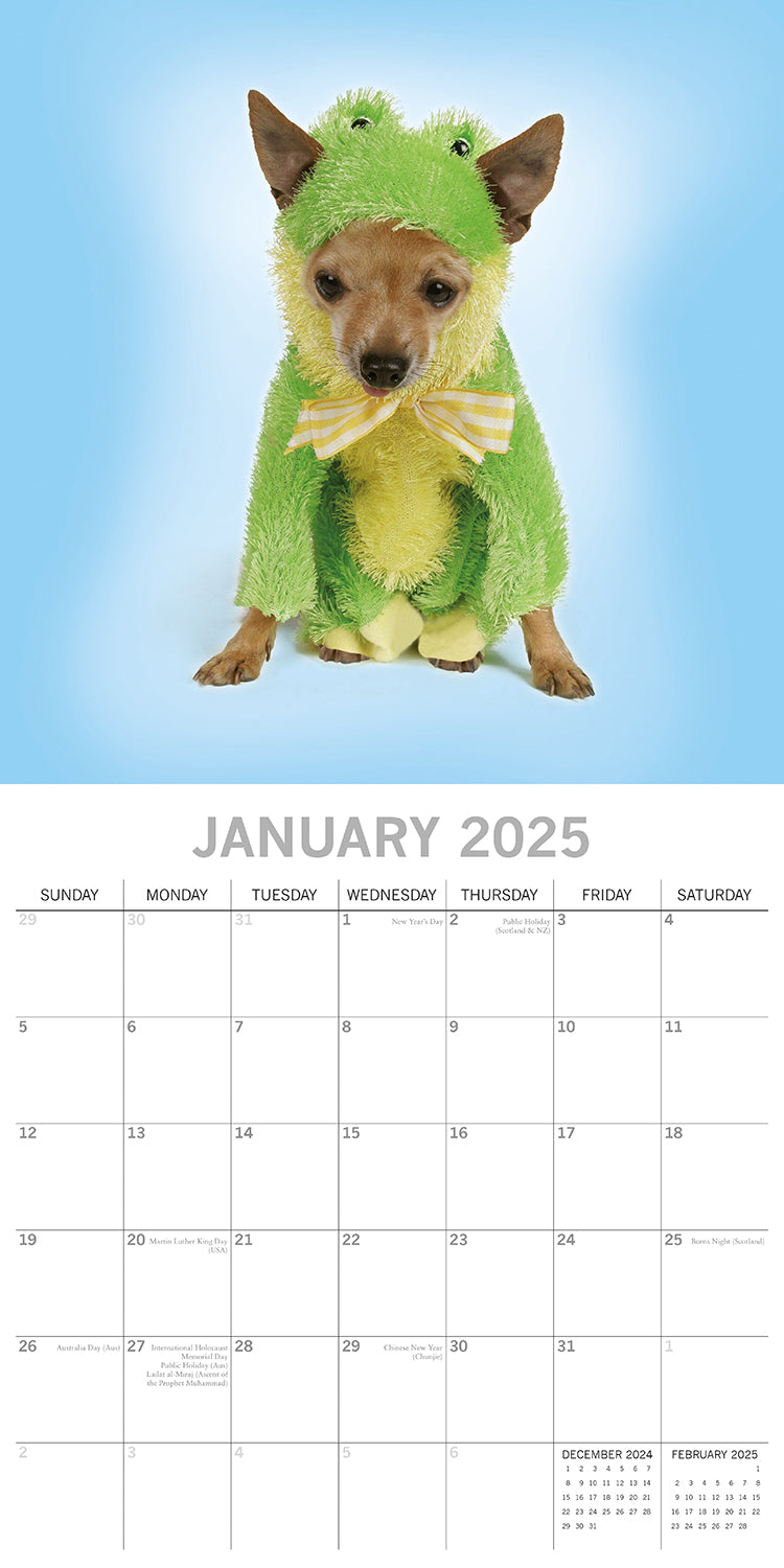 Dogs as Animals - 2025 Square Wall Calendar Pets Animals 16 Months Planner Gift