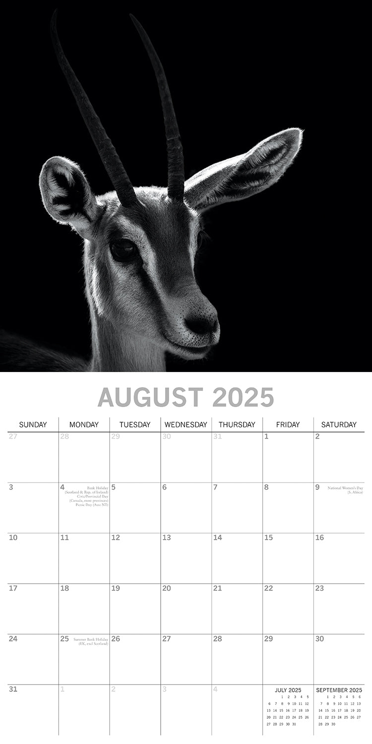 Seascapes - 2025 Square Wall Calendar 16 Months Premium Planner Christmas Gift