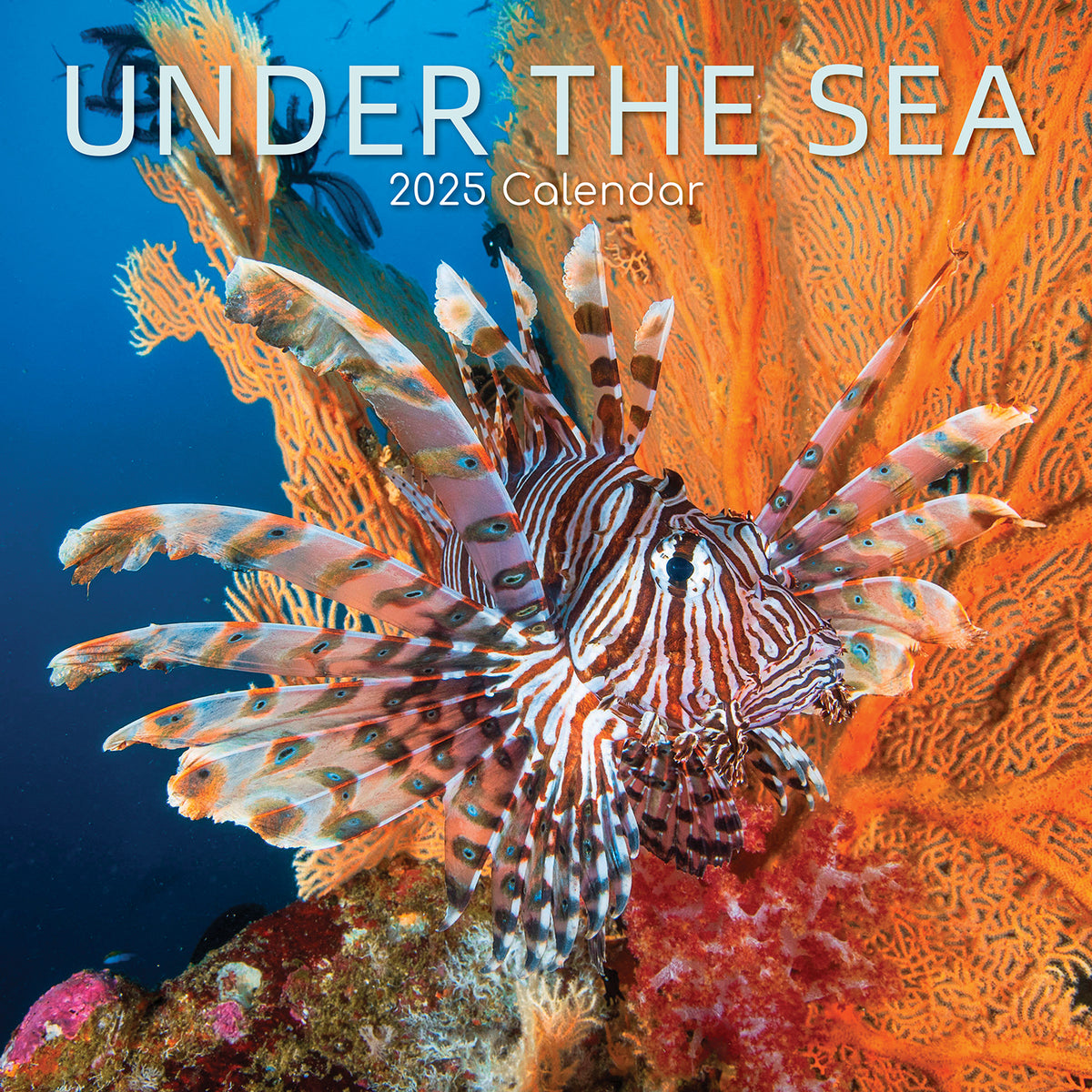 Under the Sea 2025 Square Wall Calendar 16 Months New Year Premium Planner Gift
