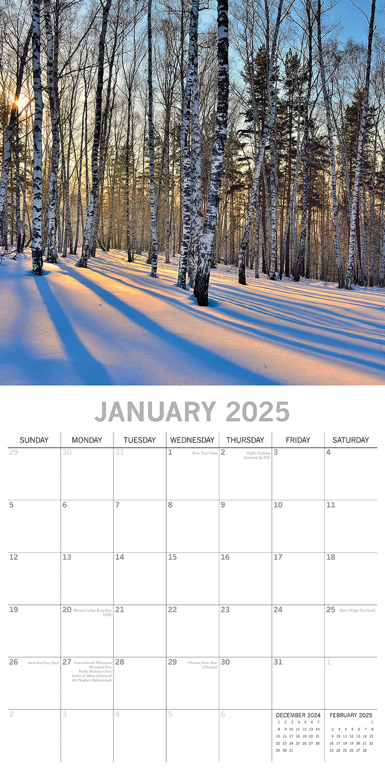 Woodland Scenes 2025 Square Wall Calendar 16 Months New Year Xmas Planner Gift