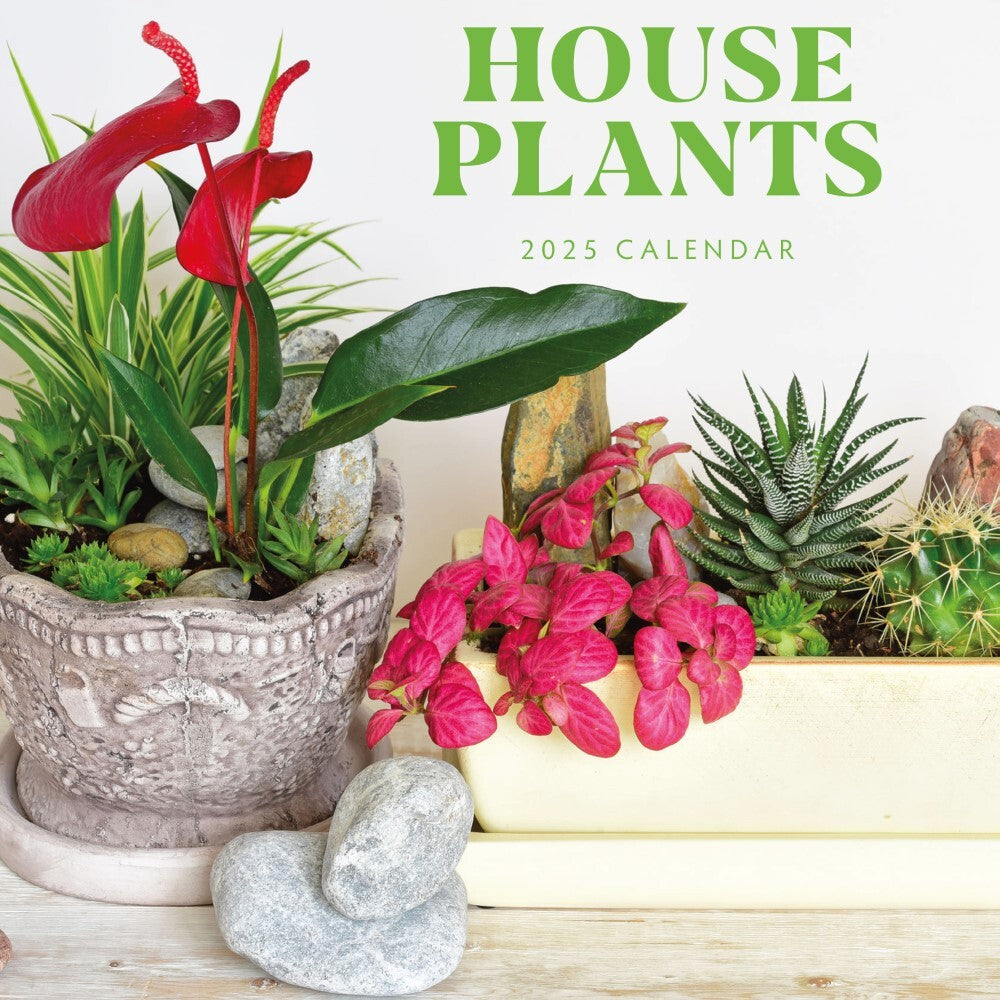 House Plants - 2025 Square Wall Calendar Floral16 Months Premium Planner Gift