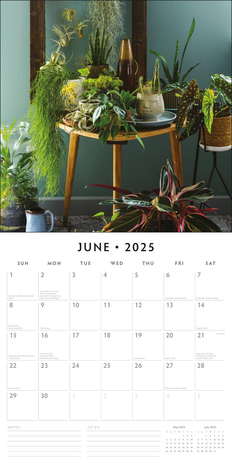 House Plants - 2025 Square Wall Calendar Floral16 Months Premium Planner Gift