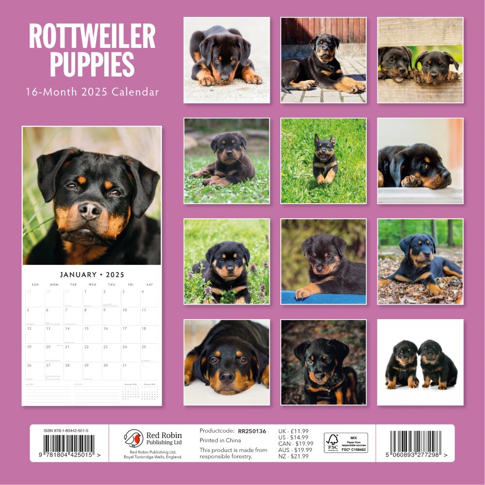 Rottweiler Puppies - 2025 Square Wall Calendar Animals 16 Months Premium Planner