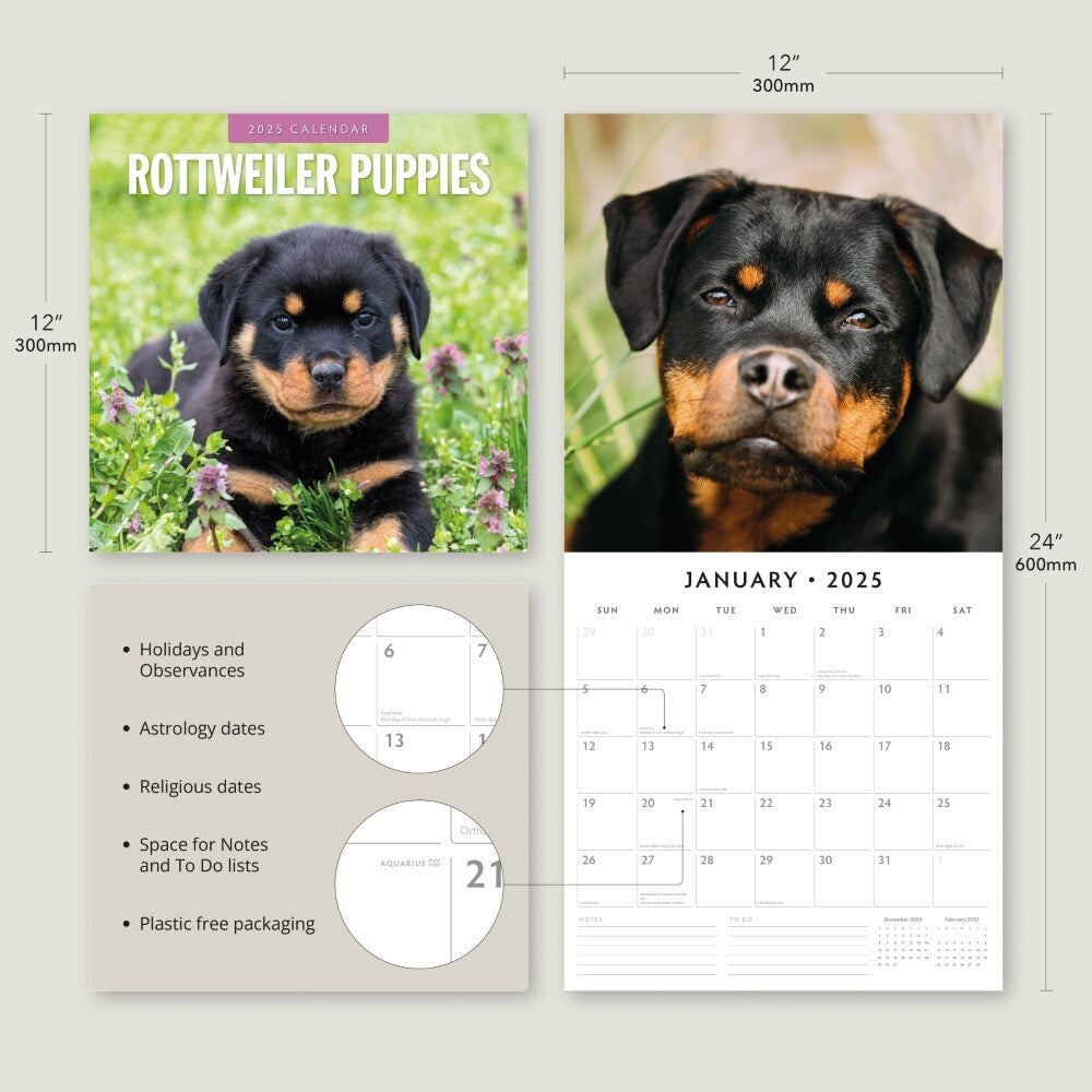 Rottweiler Puppies - 2025 Square Wall Calendar Animals 16 Months Premium Planner