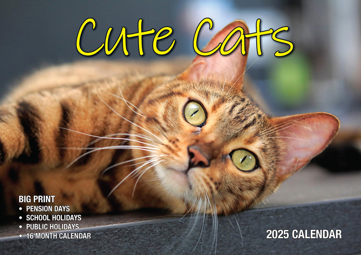 Cute Cats - 2025 Rectangle Wall Calendar 16 Months Planner Animal Pets Photos