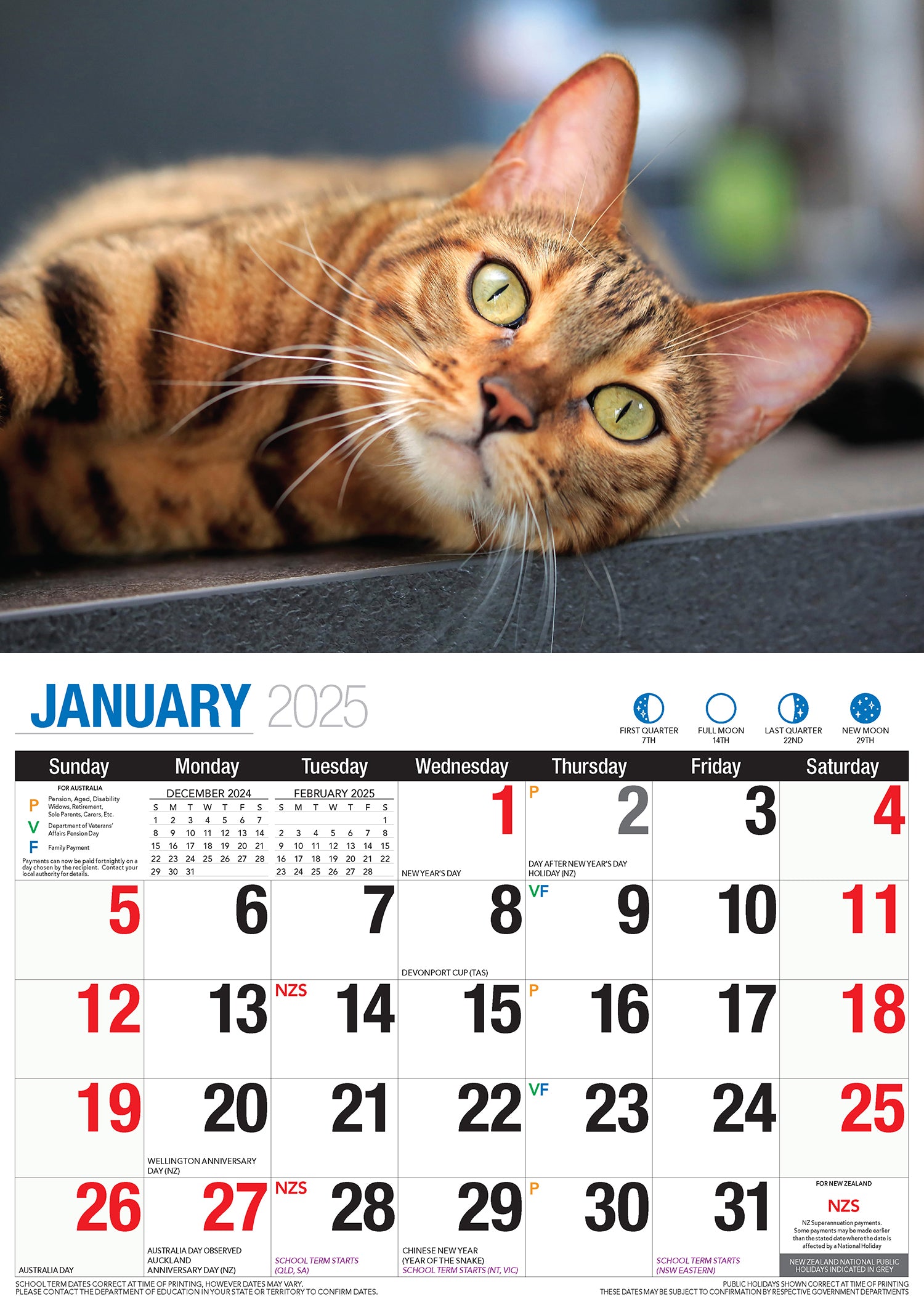 Cute Cats - 2025 Rectangle Wall Calendar 16 Months Planner Animal Pets Photos
