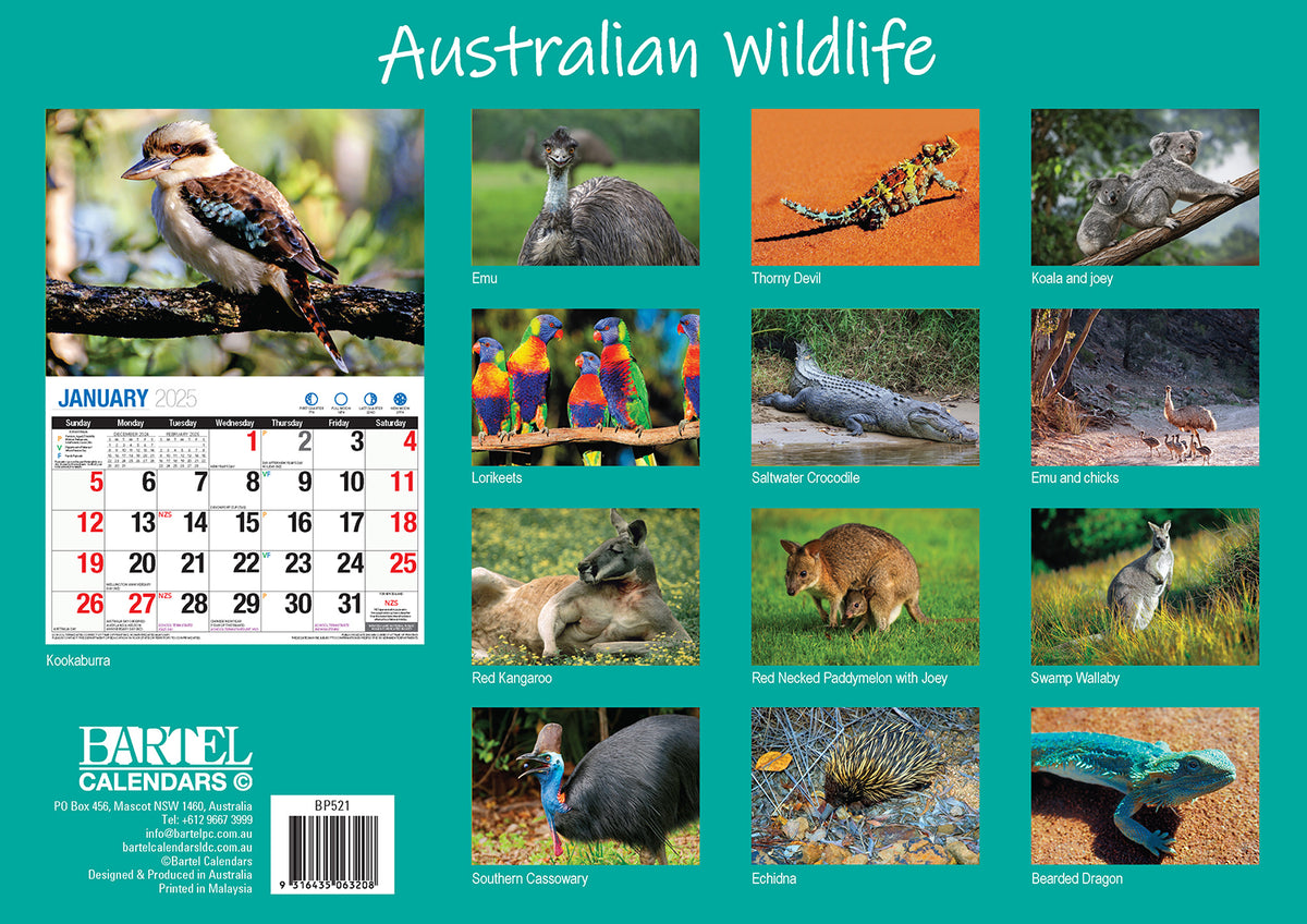 Australian Wildlife - 2025 Rectangle Wall Calendar 16 Months Animal Photography