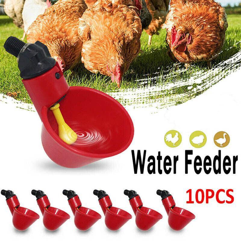 10 Pcs Automatic Poultry Waterer Cups for Chickens &amp; Birds