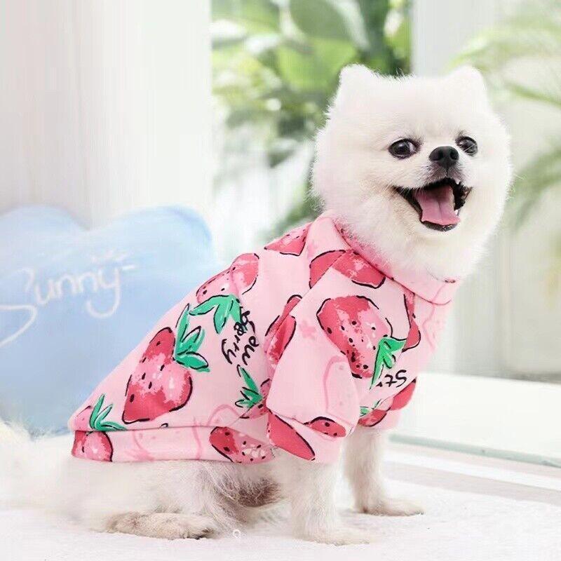 S Size Cute Pet Dog Warm Jumper Sweater Clothes Cat Knitwear Knitted Coats Winter - Pink Lion