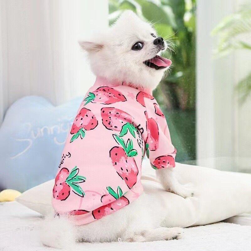 M Size Cute Pet Dog Warm Jumper Sweater Clothes Cat Knitwear Knitted Coats Winter - Green Lion
