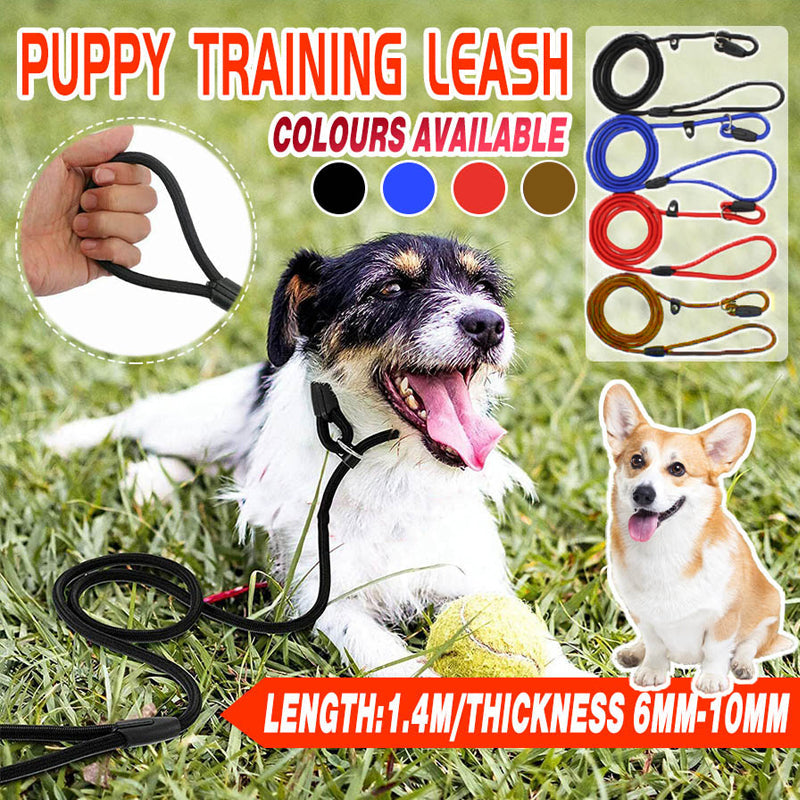 Dog Training Correction Leash Lead Cesar Puppy Pets Millan Slip Nylon Rope 10*140mm - Black