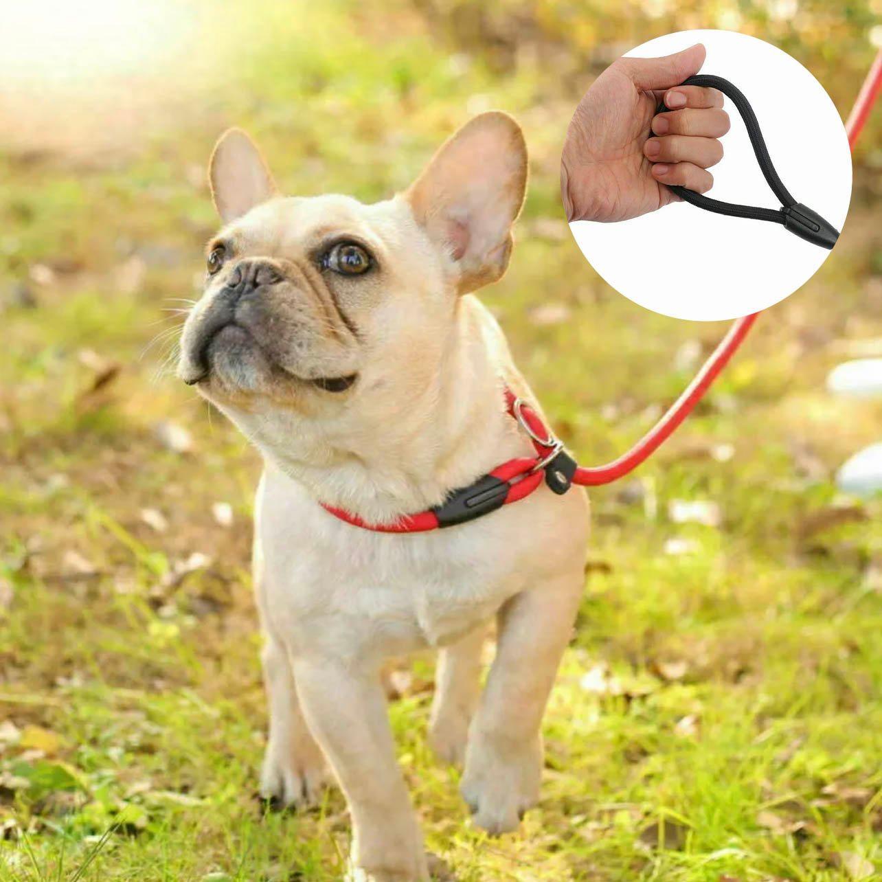 Dog Training Correction Leash Lead Cesar Puppy Pets Millan Slip Nylon Rope 10*140mm - Blue