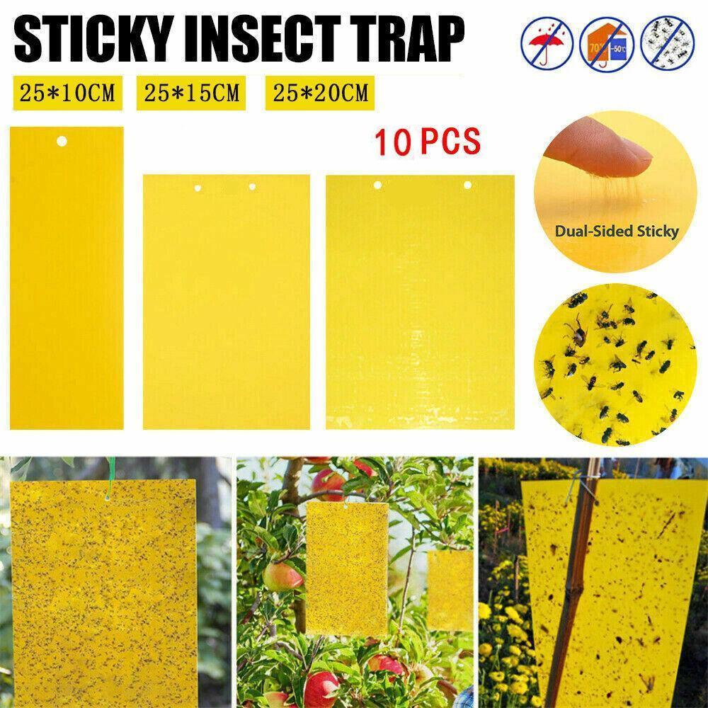 10PCS Yellow Sticky Paper Insect Trap Catcher Killer Fly Aphids Wasp - 25x15cm