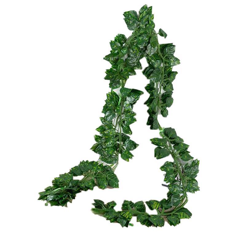 12 X 2M Artificial Ivy Vine Fake Foliage Flower Hanging Leaf Garland Plant Party - Begonia Leaves