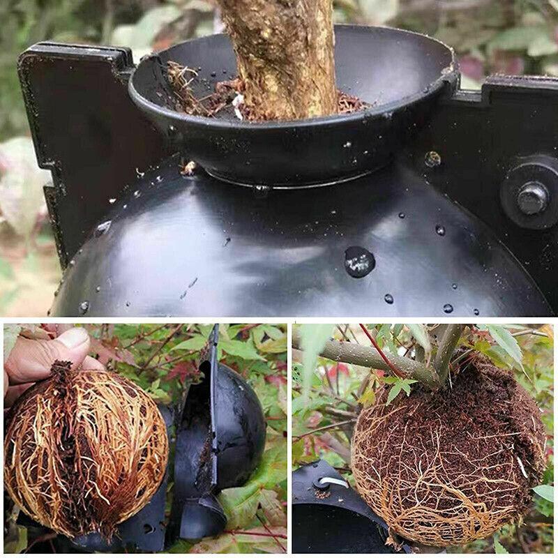 10Pcs Plant Rooting Ball High Pressure Propagation Box Grafting Breeding Device - S-5CM-10PCS