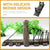 Resin Bridge Aquarium Decoration Fish Tank Accessories Shrimp Tortoise Climbing - Suspension Bridge-S