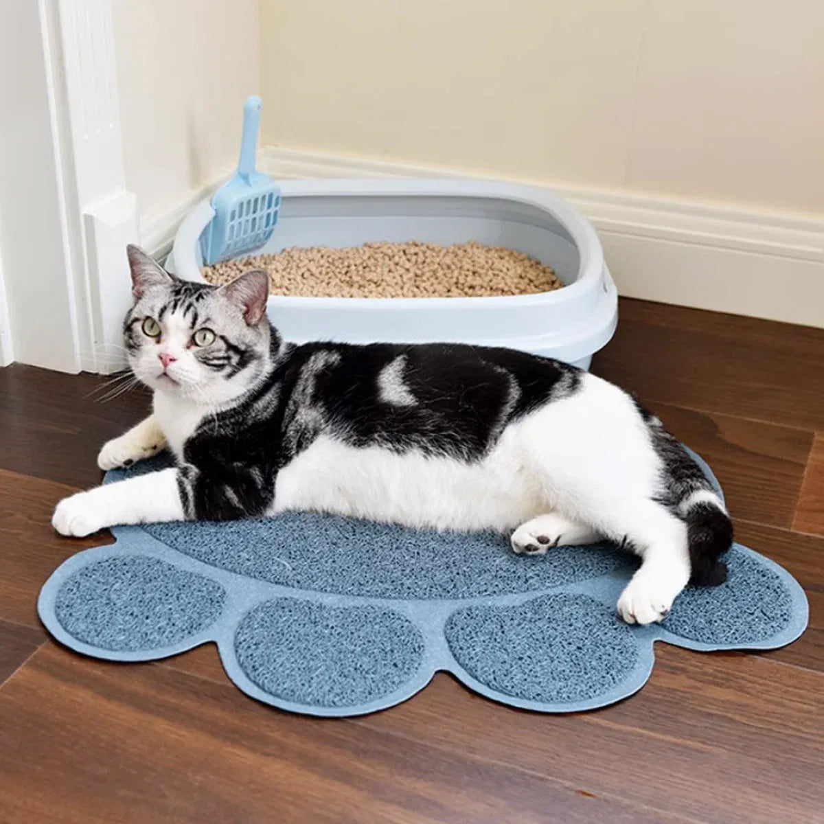 Cat Litter Mat Two Pieces Soft Pet Foot Pad Mat For Dog And Cat Toilet Training