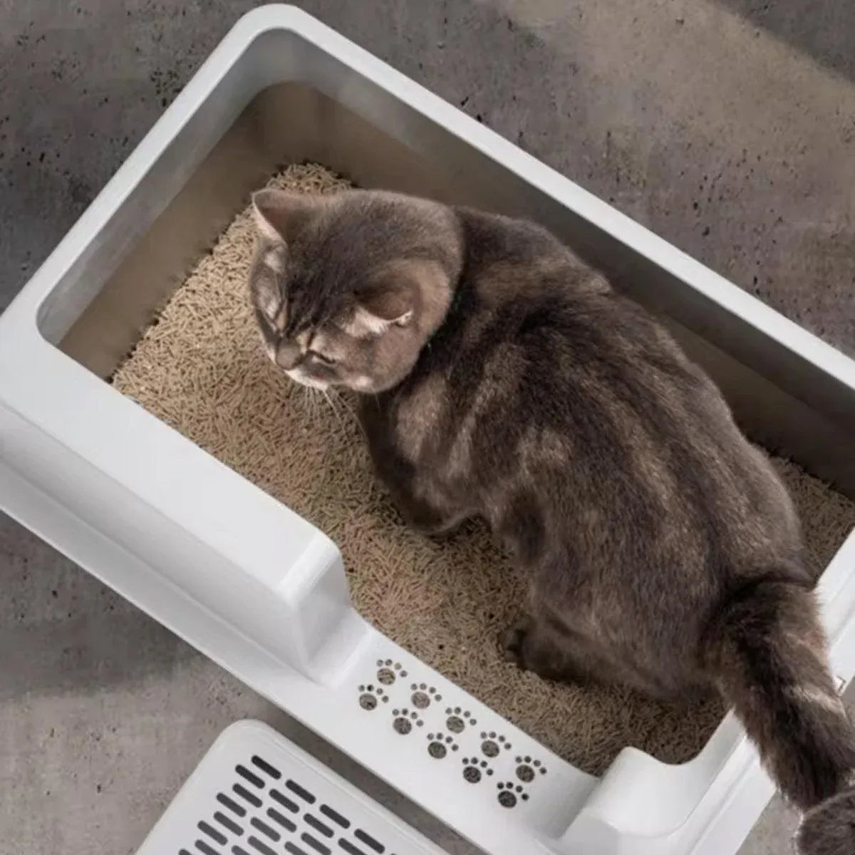 5-Piece Grey Cat Litter Box Set