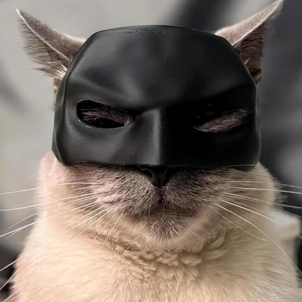 Halloween Bat Mask Cat Mask Pet Costume Accessories for Small Dogs Cats Outfit - XL