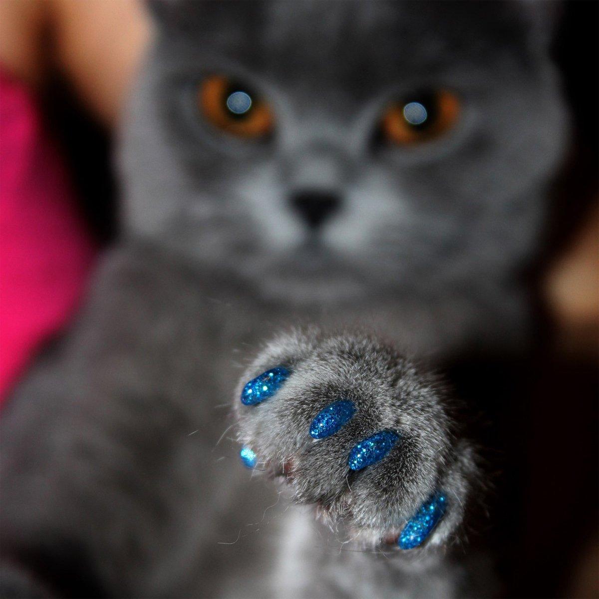 100PCS Anti Scratch Paw Covers for Cats and Kittens Nail Protector Soft Paw - Flat-S