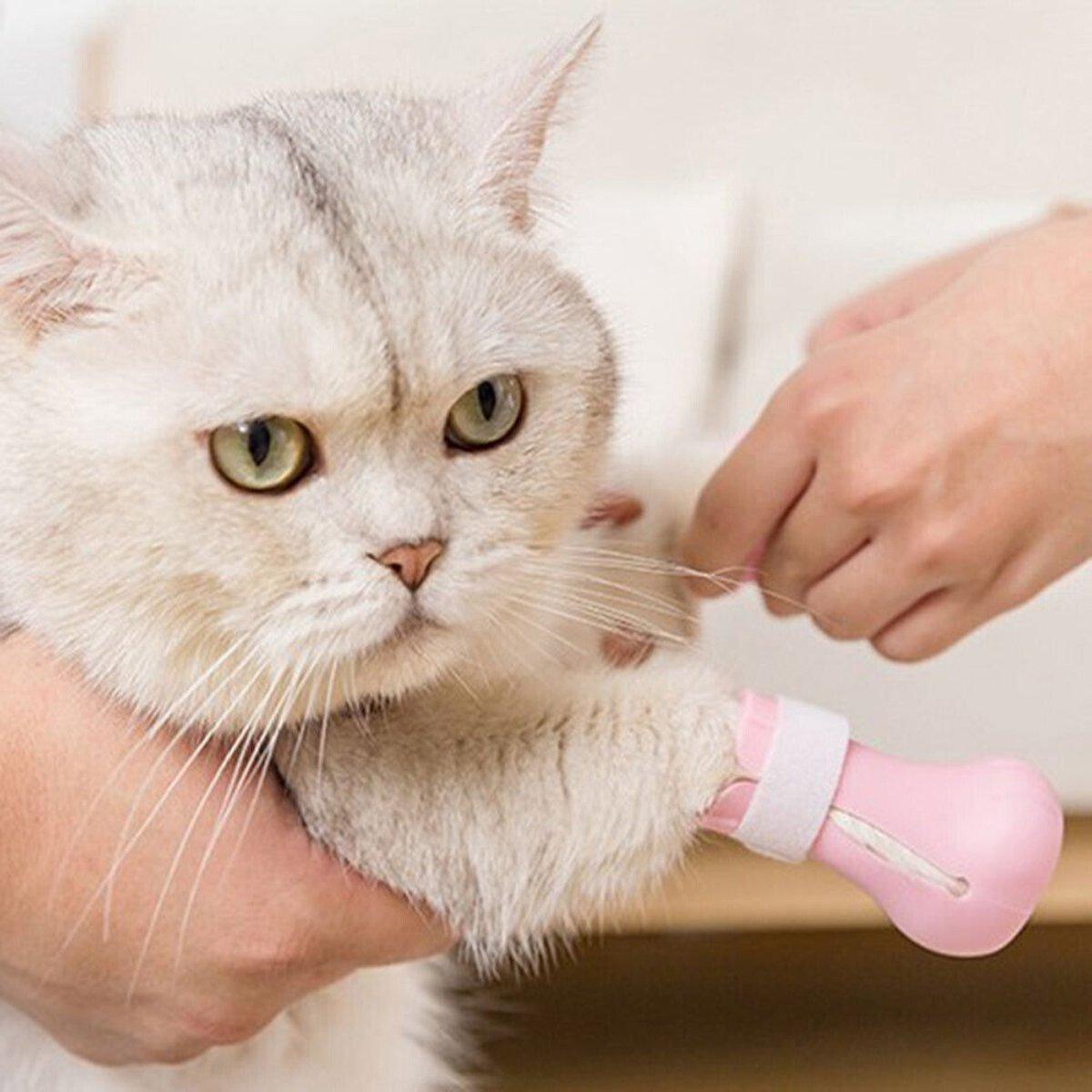 4pcs Cat Bathing Grooming Anti-Scratch Silicone Pet Socks for Bathing Feeding - Pink