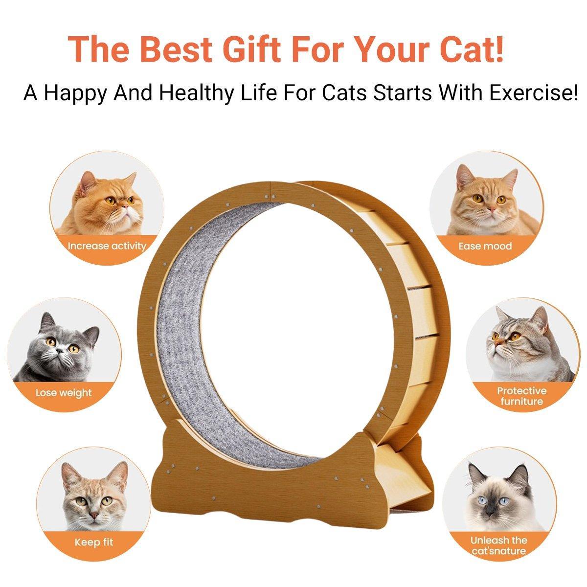 Cat Exercise Wheel Toy Furniture Running Treadmill Exerciser Scratcher Board