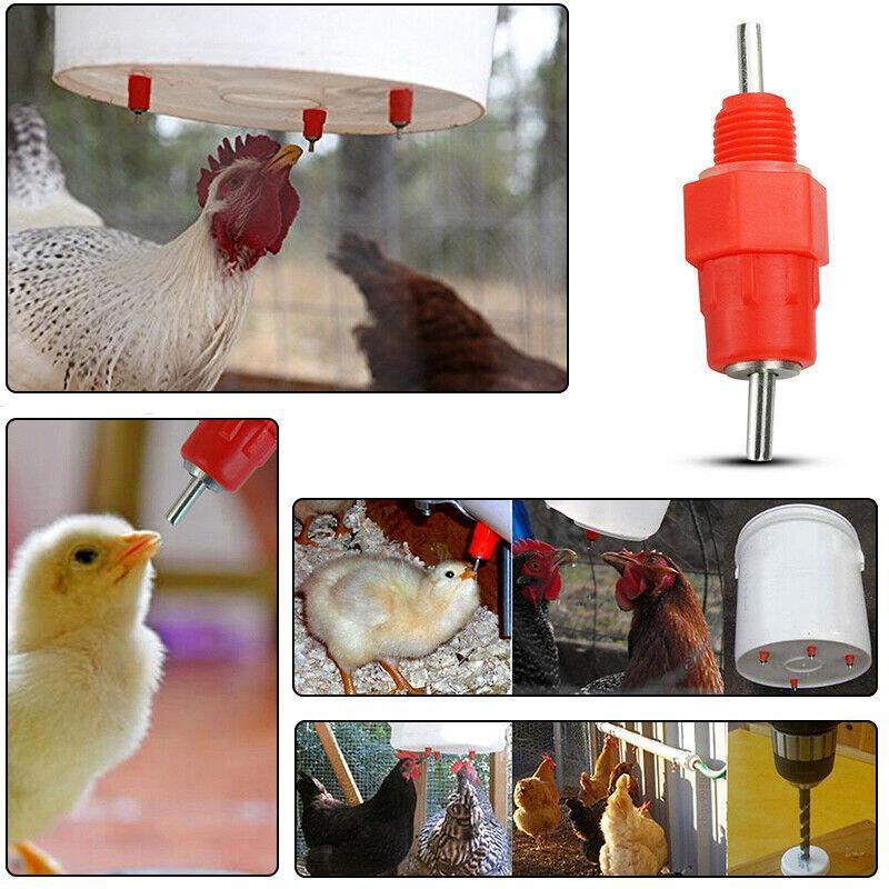 10 PCS Automatic Nipple Water Valves for Poultry and Duck Feeding