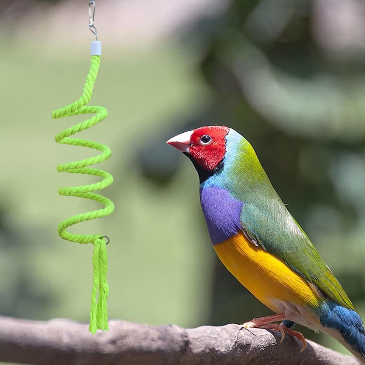 Bird Climbing Rope Toy Cotton Spiral Ladder Parrot Cage Hanging Swing Pet Toy - Green