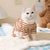 Cute Bear Striped Dog Home Clothes Cat Pet Outfit Cozy Animal Pajamas for Pets - Navy blue - XL