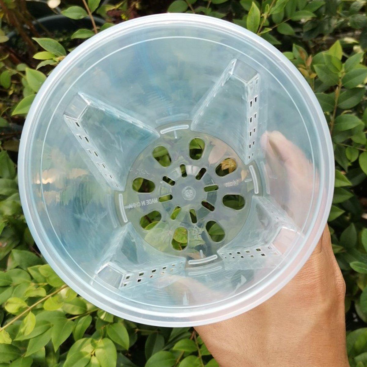 10xClear Plastic Orchid Pots with Holes for Phalaenopsis Root Aeration
