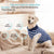 Dog Recovery Suit Anti-Lick Wound Protector Pet Clothing Post-Surgery Belly - Stripes-S