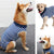 Dog Recovery Suit Anti-Lick Wound Protector Pet Clothing Post-Surgery Belly - Camouflage-XL